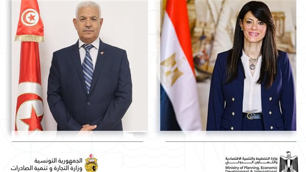 وزيرة التخطيط