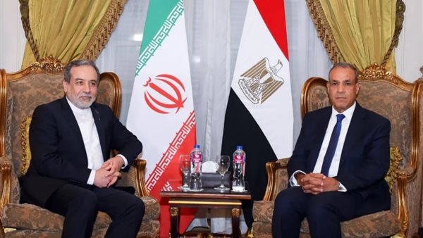  وزير الخارجية المصري