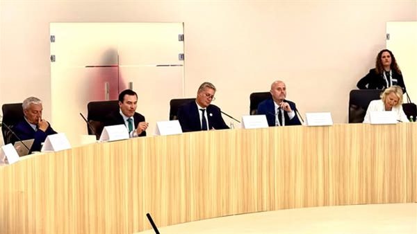 المهندس كريم بدوي