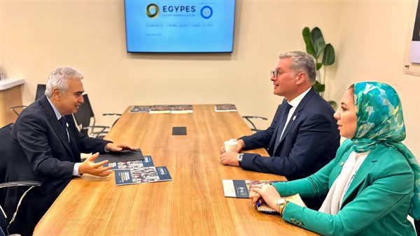 المهندس كريم بدوي