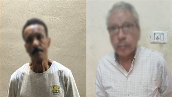 الفنان شيبا