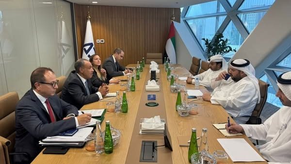 بدر عبد العاطي