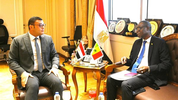 المهندس شريف الشربينى