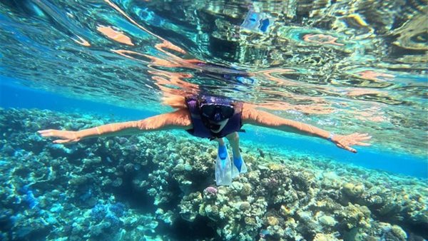 سباح لبناني يواجه