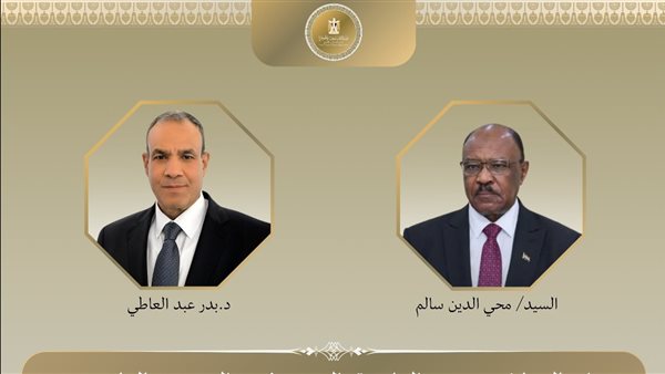 وزير الخارجية يقدم