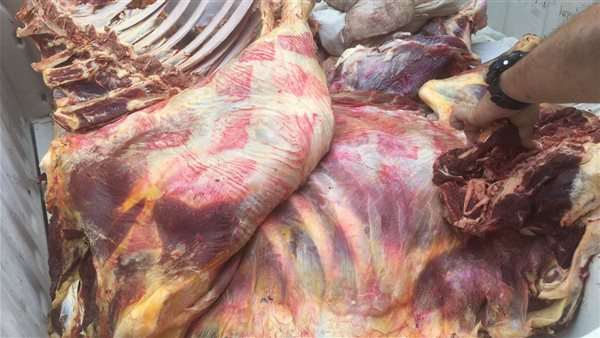 ضبط كميات من اللحوم