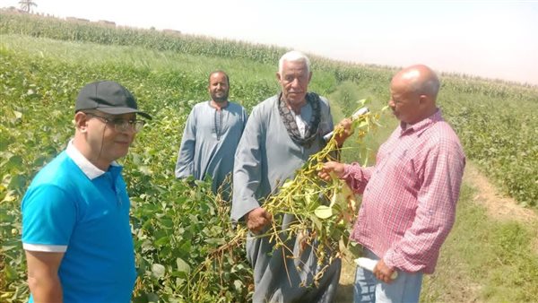 برامج توعية زراعية