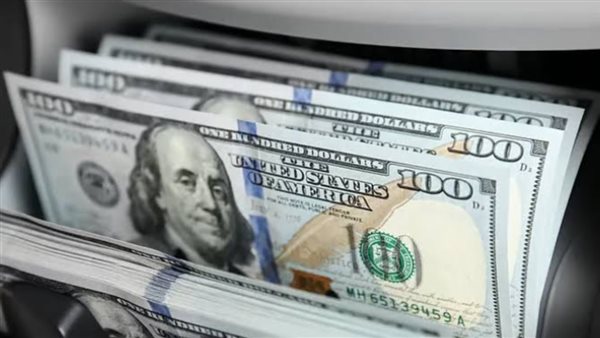 استقرار سعر الدولار