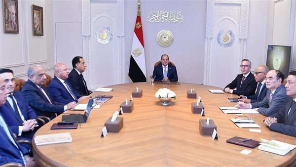 الرئيس السيسي خلال