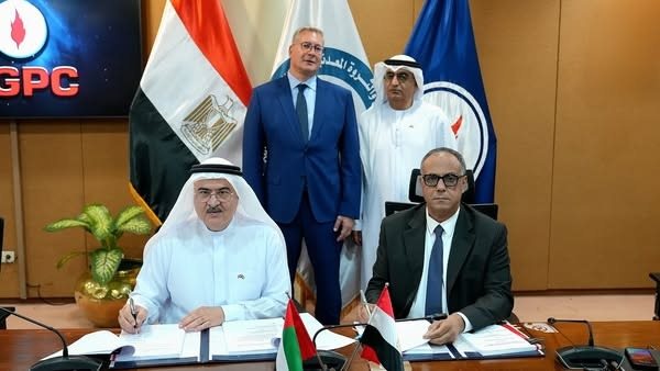 المهندس كريم بدوي