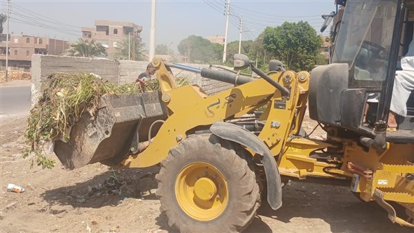 حملات نظافة بأسيوط