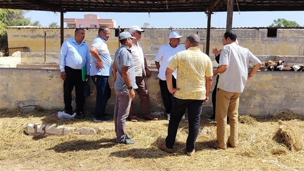 جانب من الجولة