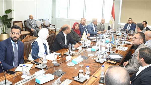 المهندس شريف الشربيني