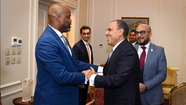 الدكتور بدر عبد العاطي