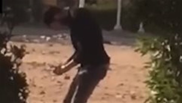 صورة موضوعية