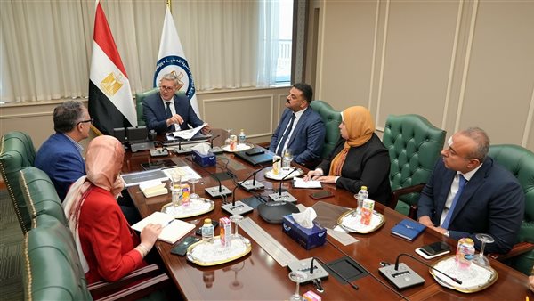 المهندس كريم بدوي