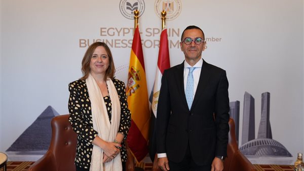 المهندس حسن الخطيب