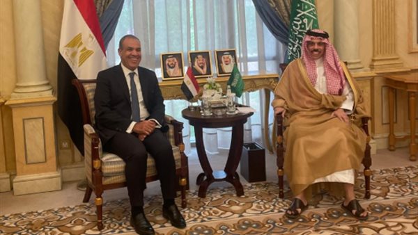 بدر عبد العاطي وزير