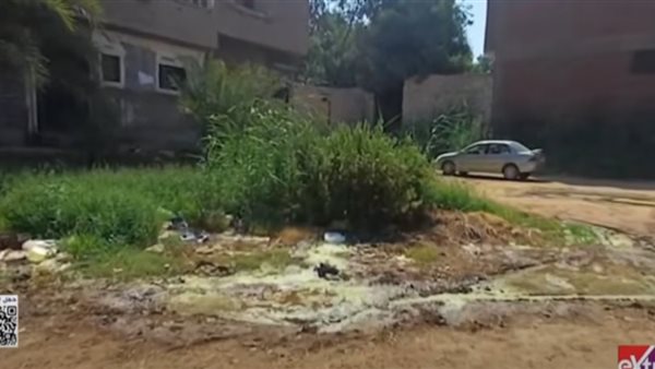 صورة موضوعية