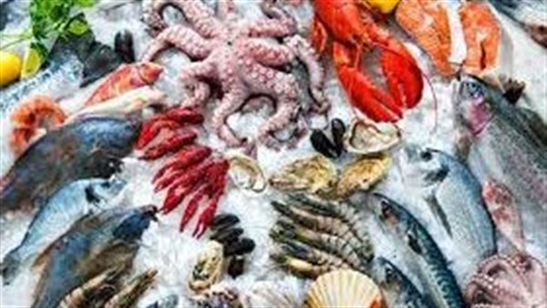 أسعار السمك اليوم