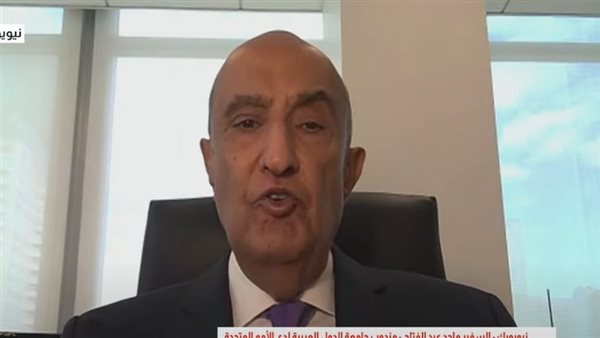 السفير ماجد عبد الفتاح