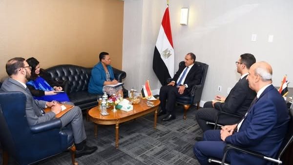 بدر عبد العاطي