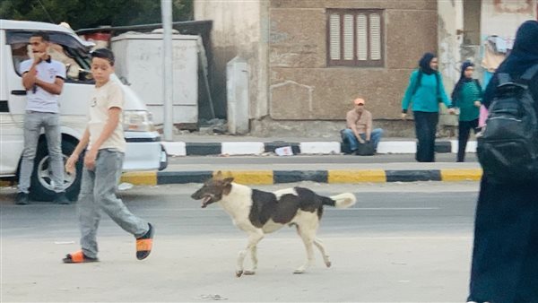 أولياء أمور يستغيثون