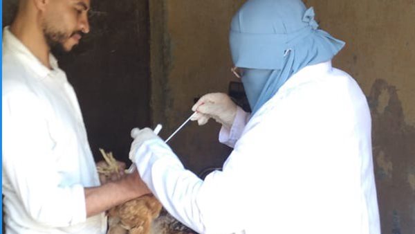 الهيئة العامة للخدمات