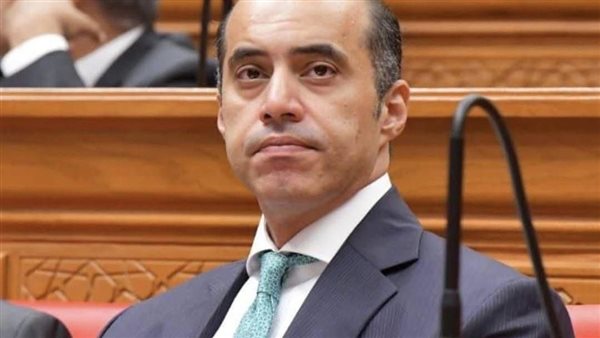 المستشار محمود فوزي