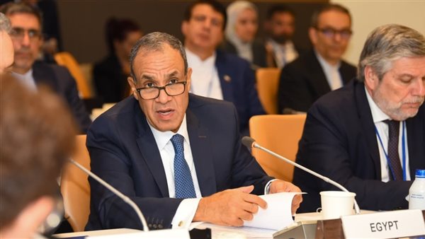 الدكتور بدر عبد العاطي