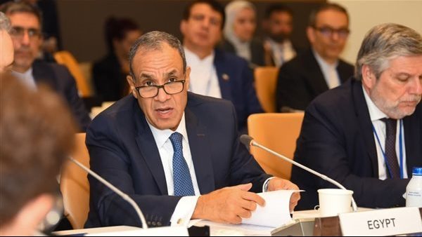 الدكتور بدر عبد العاطي