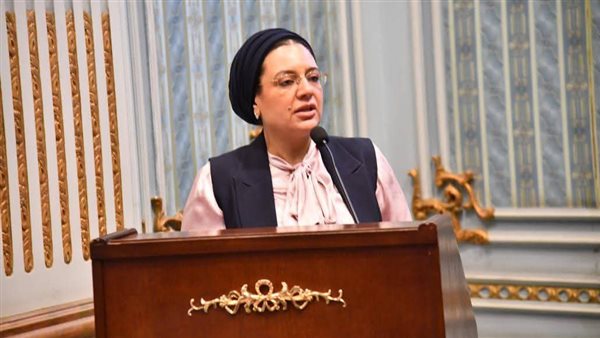  النائبة ريهام عبد