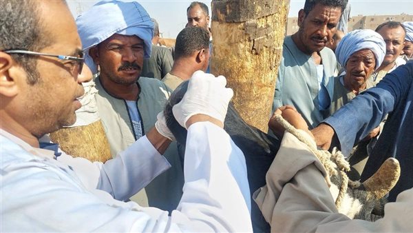 الهيئة العامة للخدمات