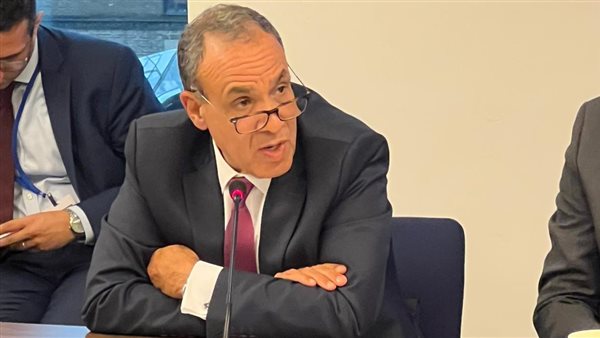 بدر عبد العاطي