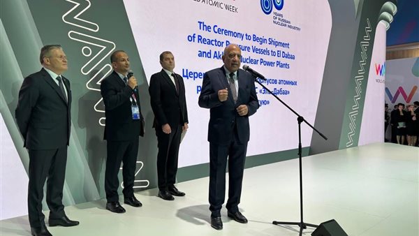  الدكتور محمود عصمت