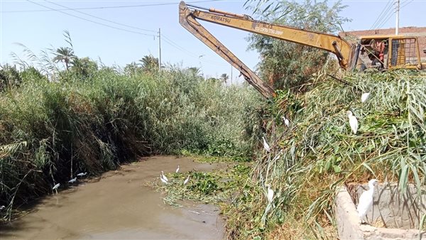 حملات تطهير الترع