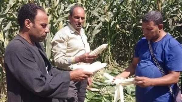 الإدارة المركزية