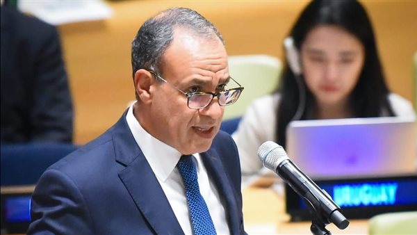 الدكتور بدر عبد العاطي