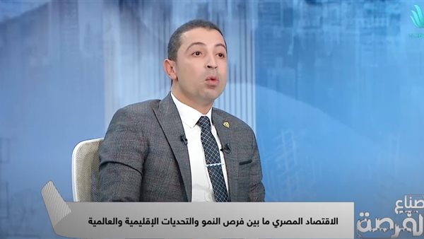 المستشار علي الجمل