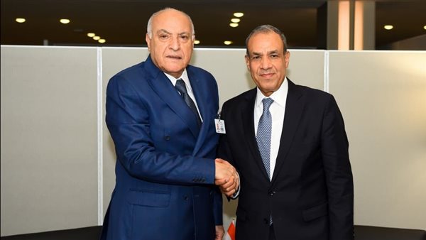 بدر عبد العاطى وزير