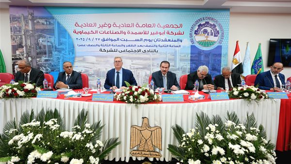 المهندس كريم بدوي