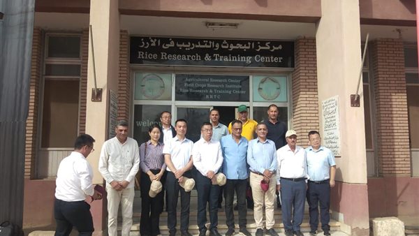 مركز بحوث الأرز بسخا