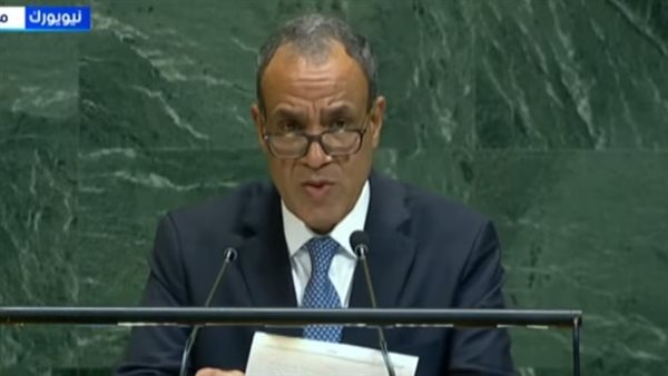 الدكتور بدر عبد العاطي