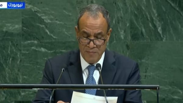 وزير الخارجية