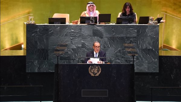 وزير الخارجية