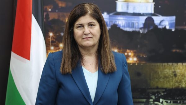  فارسين شاهين وزيرة