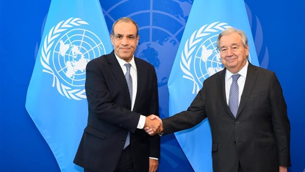 د. بدر عبد العاطي