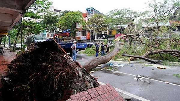 صورة موضوعية