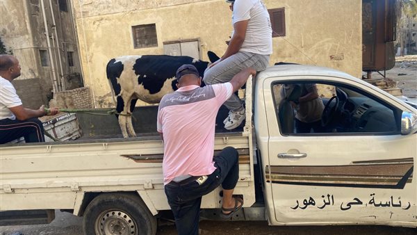 صورة موضوعية