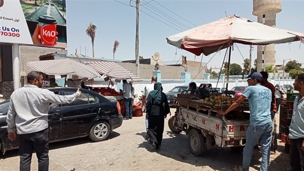 محافظة أسيوط